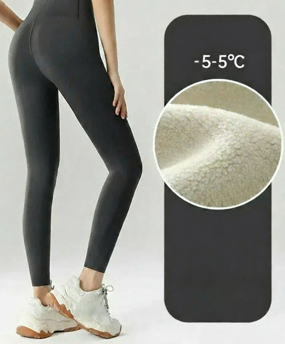 Sba115d68ca674bf98a1f8c71b635efaaV